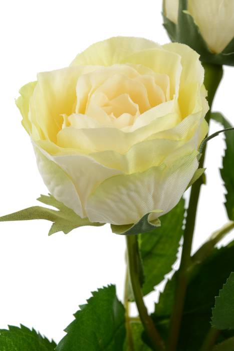 15" Rose Spray Cream/pink - Image 2