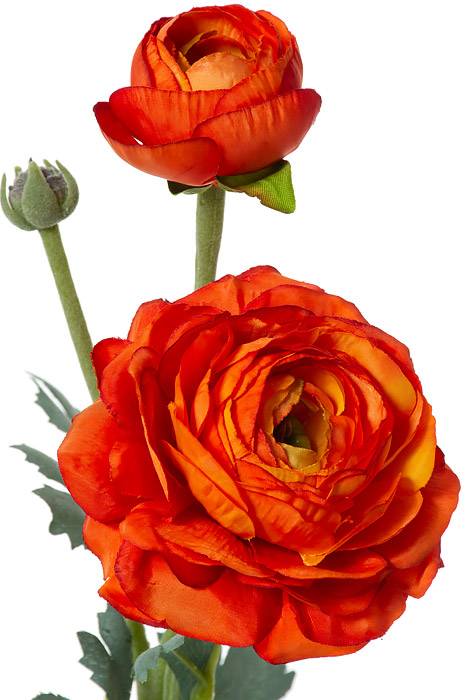 15" Silk Ranuculus Spray W/ Bud Orange/Green - Image 2