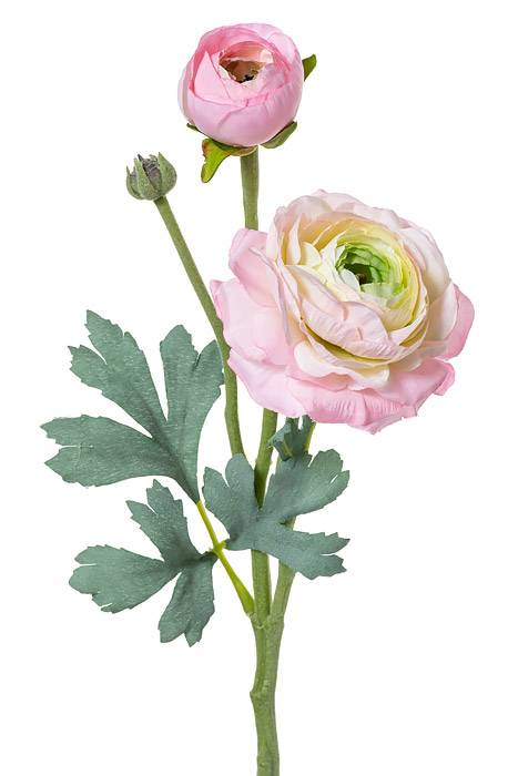 15" Silk Ranuculus Spray W/bud Pink/Green
