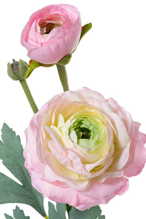 15" Silk Ranuculus Spray W/bud Pink/Green - Image 2