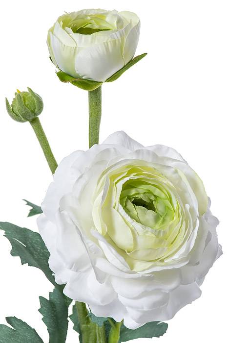 15" Silk Ranuculus Spray W/bud White/Green - Image 2