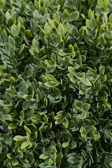 15" Tea Leaves Ball Green - Image 2