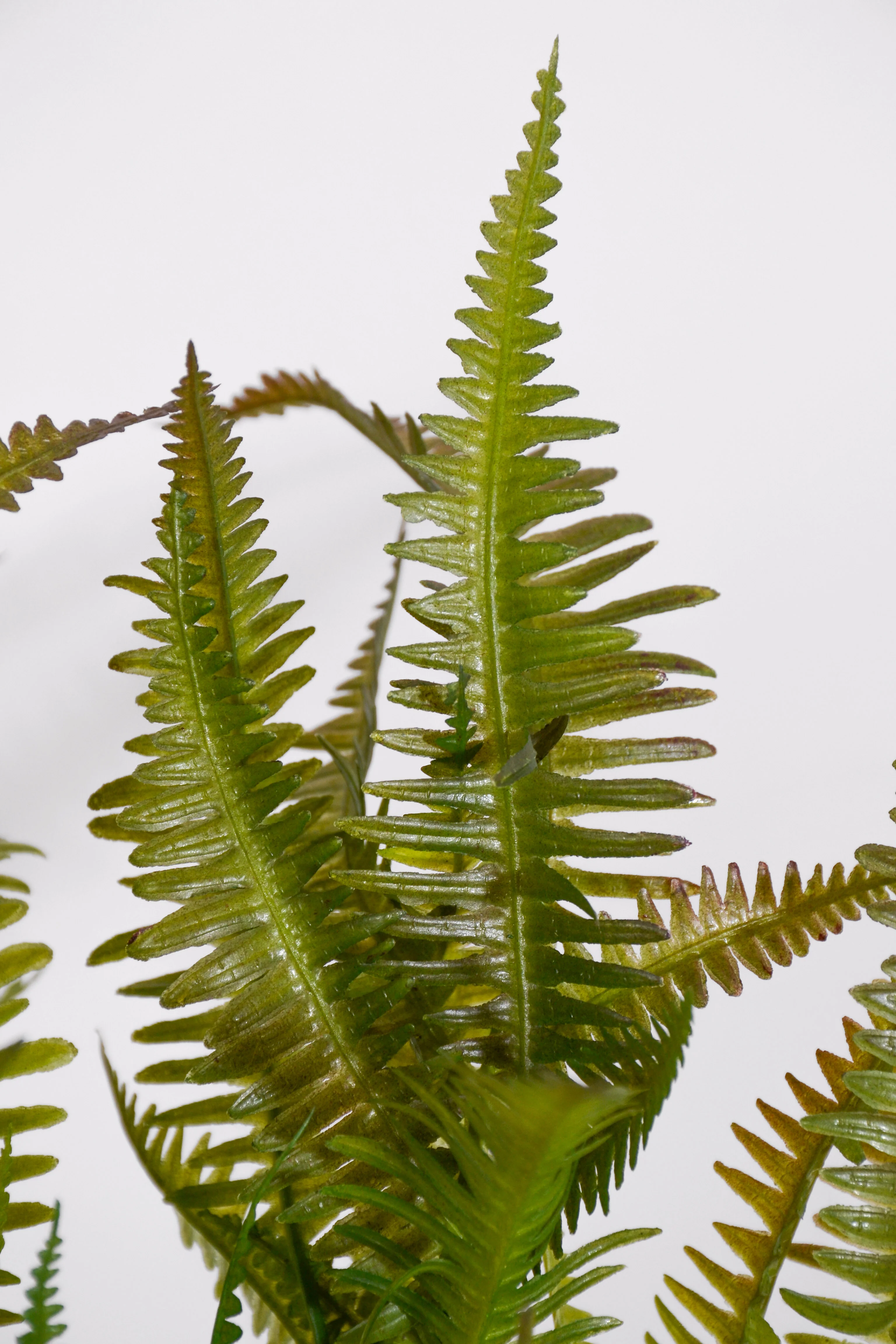 15" Uv Artificial Fern Bush Green/Brown - Image 2