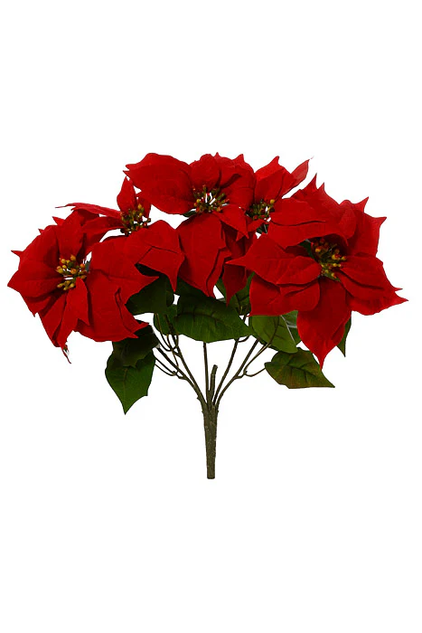 15" Velvet Poinsettia Bush Red