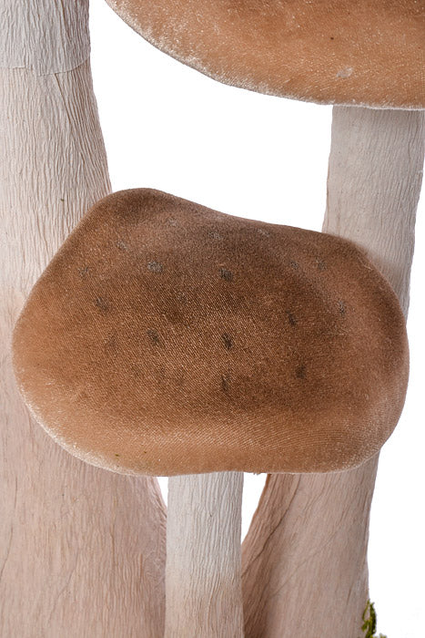 16.1" X 12.6" X 22.8" Easter Mushroom Nature - Image 2
