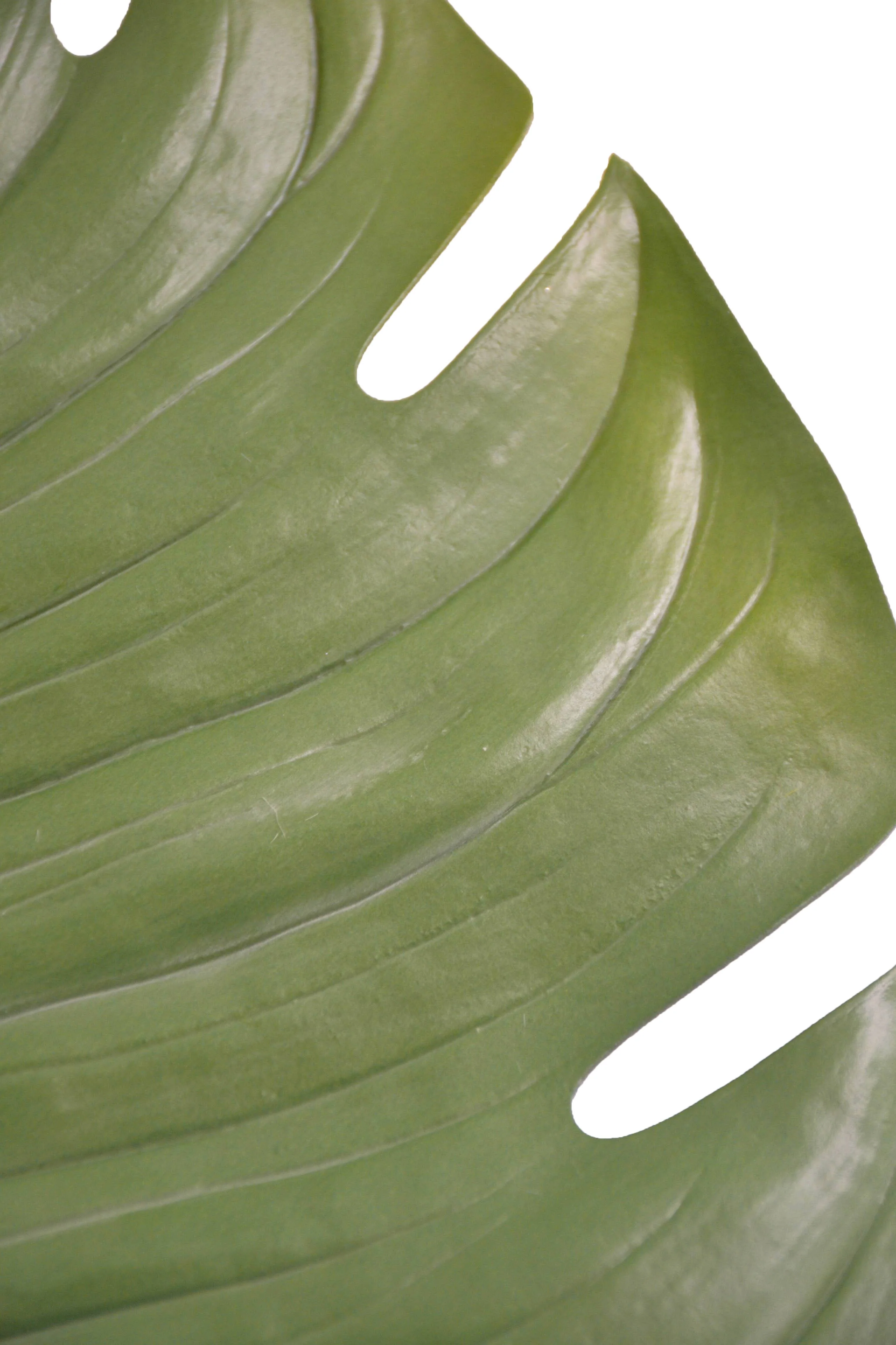 16.5" Monstera Placemat Green - Image 2