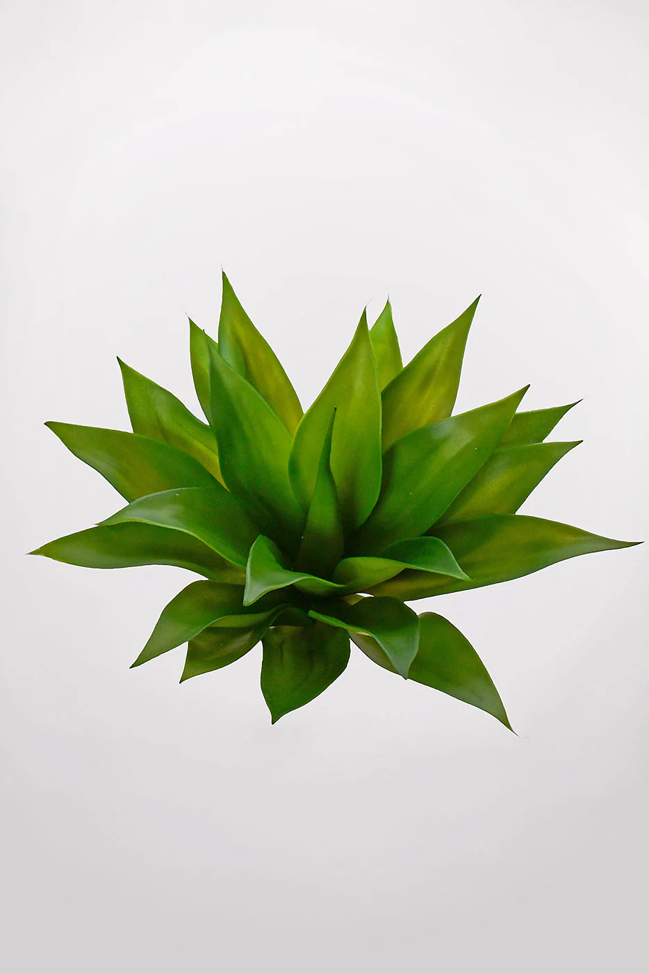 16.5" X 19" Artificial Agave Plant Green - Image 2