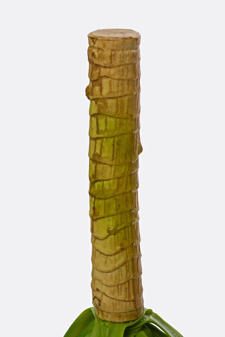 16.5" X 19" Artificial Agave Plant Green - Image 3