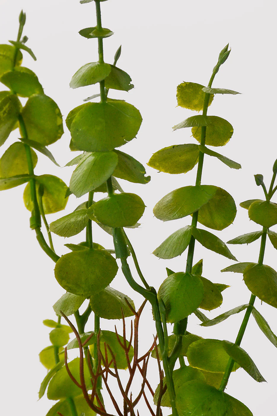 16" Artificial Eucalyptus Bush Green - Image 2