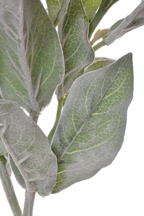 16" Lamb's Ear Spray Green/Grey - Image 2