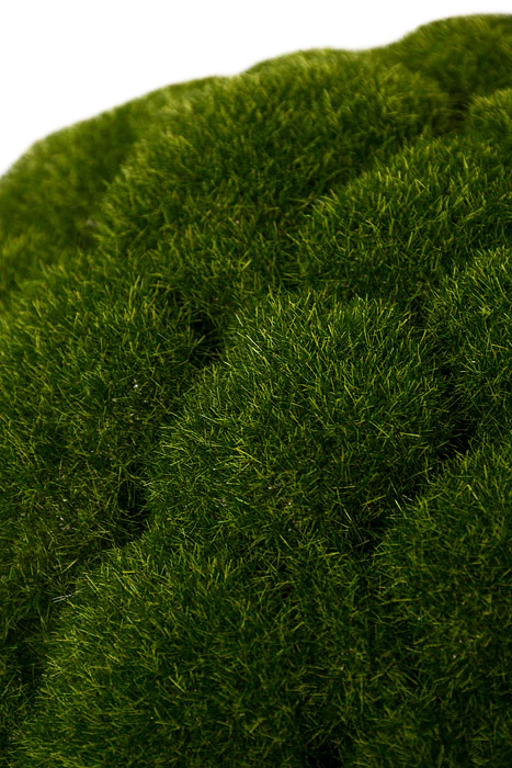 16" Mood Moss Ball Green - Image 2