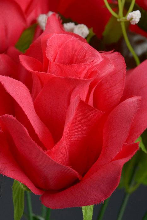 16" Printing Rose Bush American Beauty - Image 2