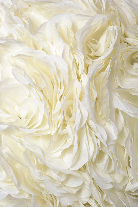 16" Rose Ball With Hang Ribbon Ivory - Image 2