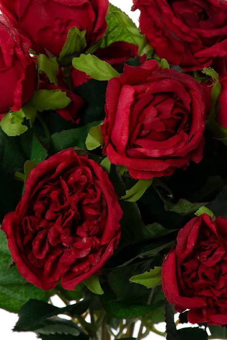 16" Silk Cabbage Rose Bush Red - Image 2
