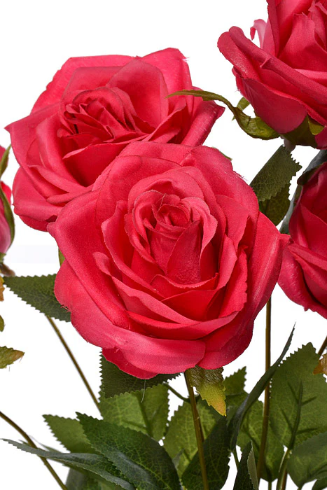 16" Silk Rose Bush Fuchsia - Image 2