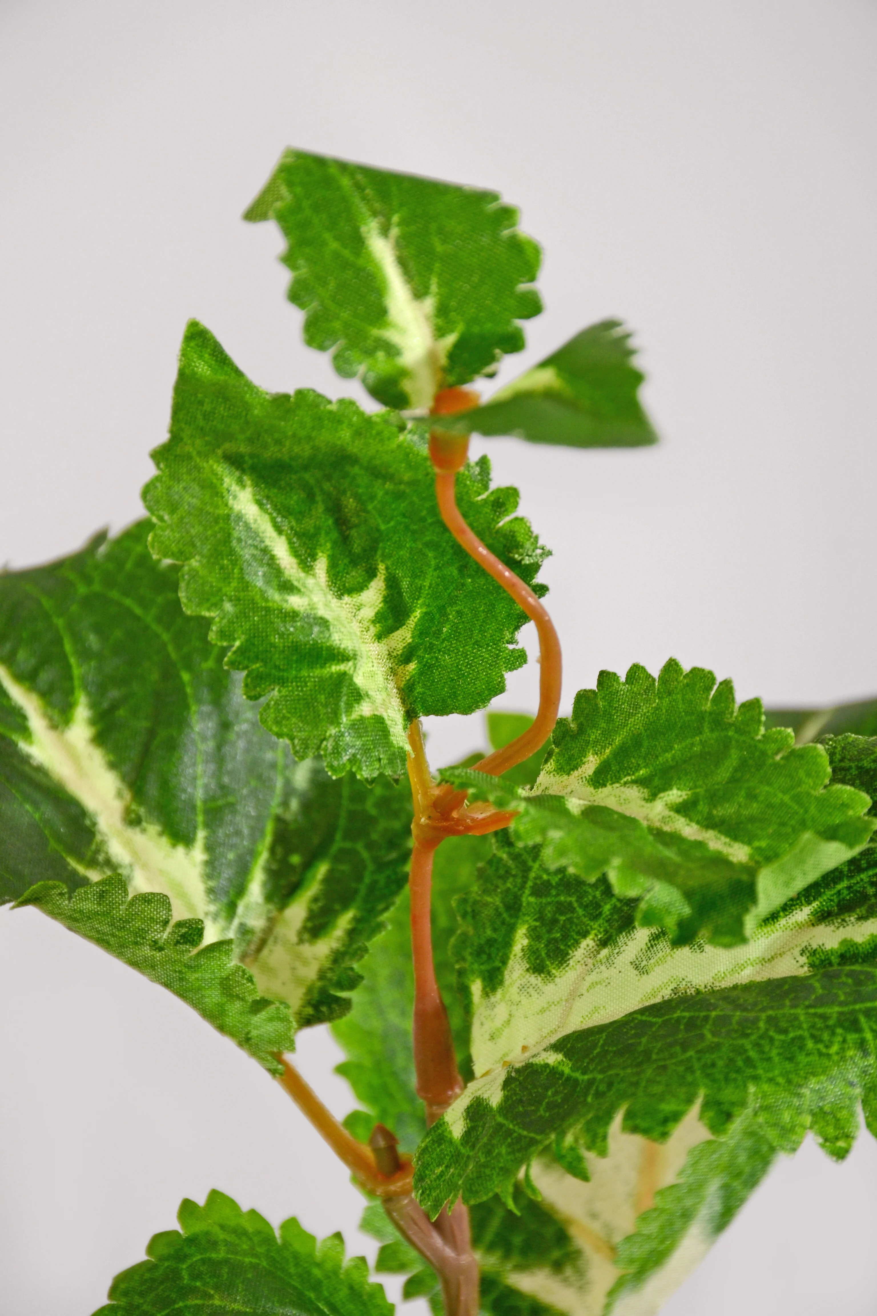 16" Uv Artificial Protected Coleus Bush Green/Cream - Image 2