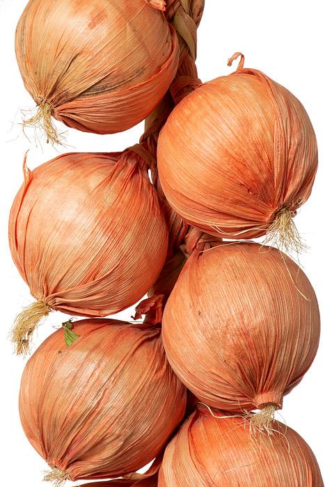 17.5" Garlic String Orange - Image 2