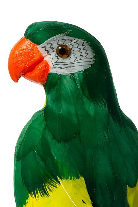 17.5" Standing Parrot Green/Yellow - Image 2