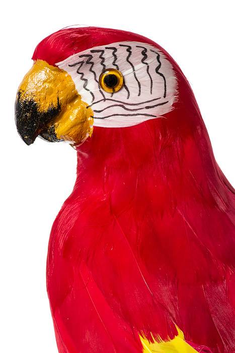 17.5" Standing Parrot Red/Yellow - Image 2