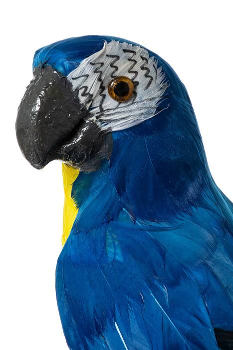 17.5" Standing Parrot Royal Blue/yellow - Image 2