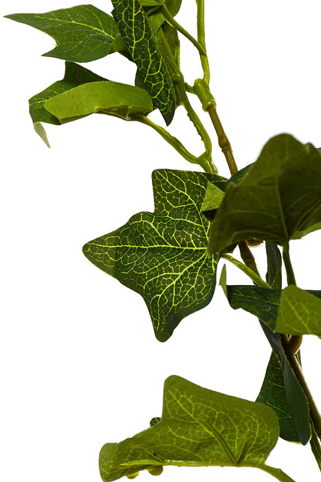 17.75" Artificial Ivy Leaf Bush Green - Image 2