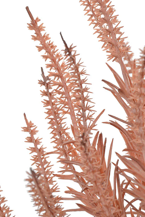 17" Astilbe Bundle Rose - Image 2