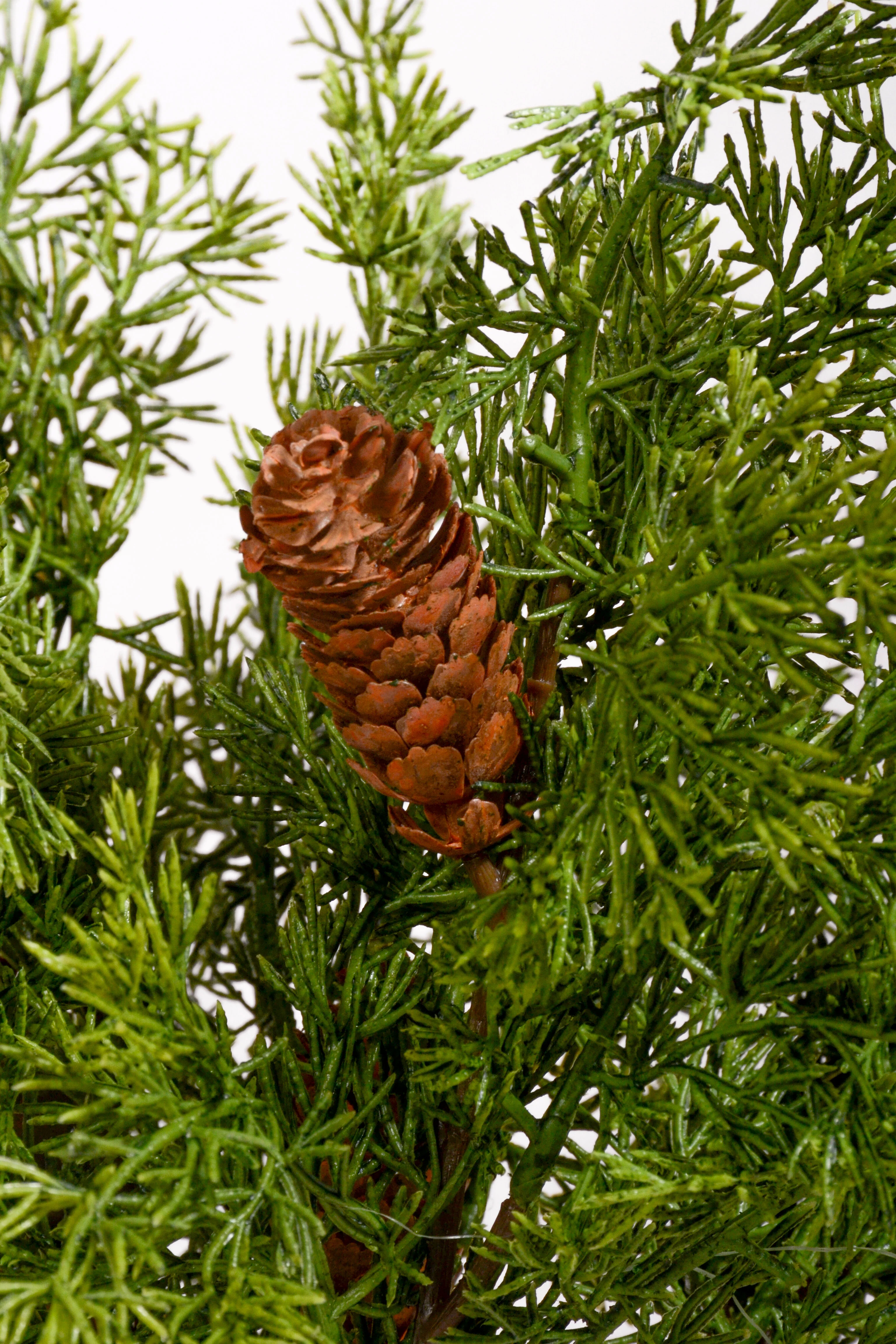 17'' Juniper Pick With Pinecone Pkg/5 Green - Image 2