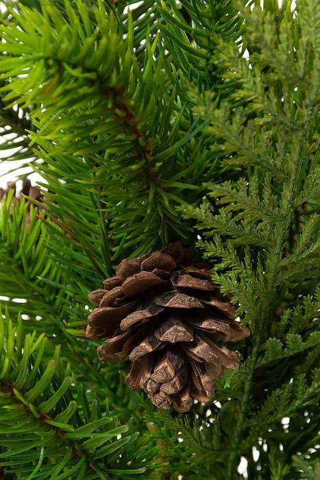 17" Pine/cone Cedar Bush Green - Image 2