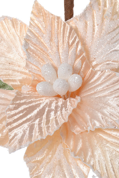17" Poinsettia With Berry & Pinecone Cream - Image 2