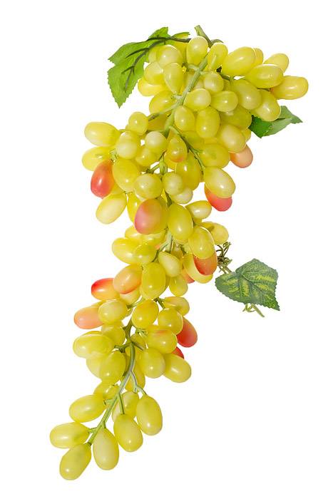 17" Round Grape Cluster Yellow Faux Decor Fake Grape Clusters