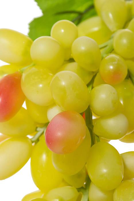 17" Round Grape Cluster Yellow Faux Decor Fake Grape Clusters - Image 2