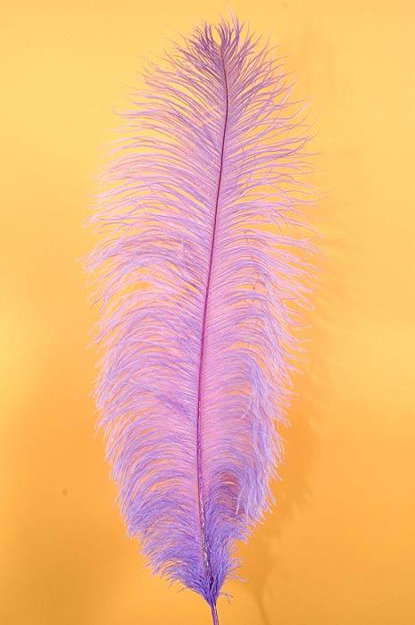 18"- 22" Single Ostrich Feather Lavender