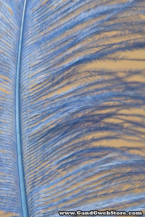 18"- 22" Single Ostrich Feather Light Blue - Image 3