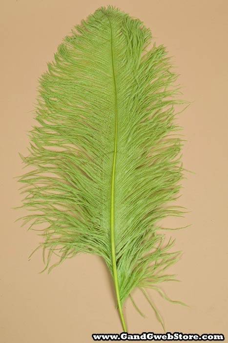 18"- 22" Single Ostrich Feather Lime Green - Image 2