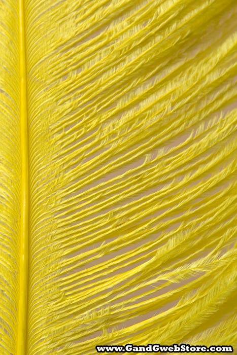 18"- 22" Single Ostrich Feather Yellow - Image 3