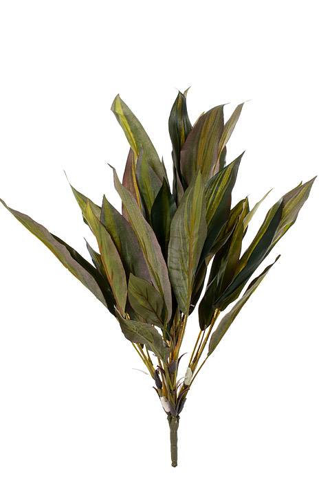 18.5" Dracaena Bush Green - Image 2