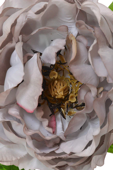 18.5" Silk Décor Peony Spray Gray - Image 2