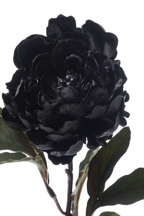 18.5" Silk Peony Spray Black - Image 2