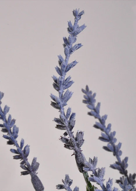 18" Artificial Lavender Bundle Purple - Image 2