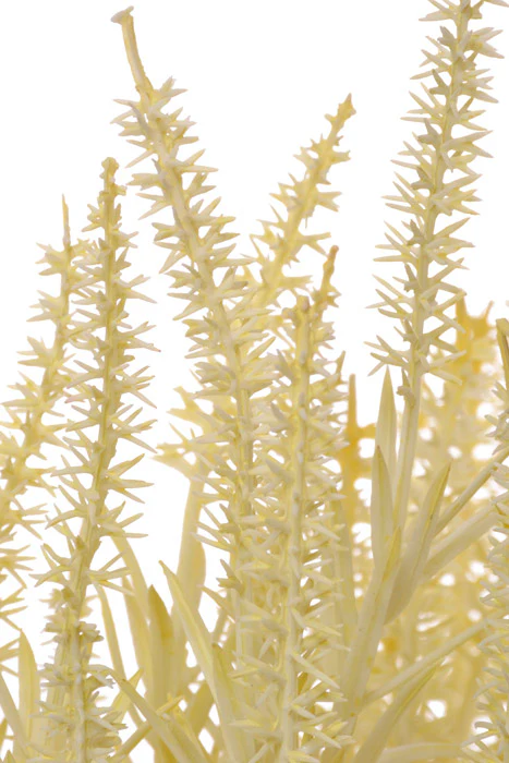 18" Astilbe Bundle Cream - Image 2