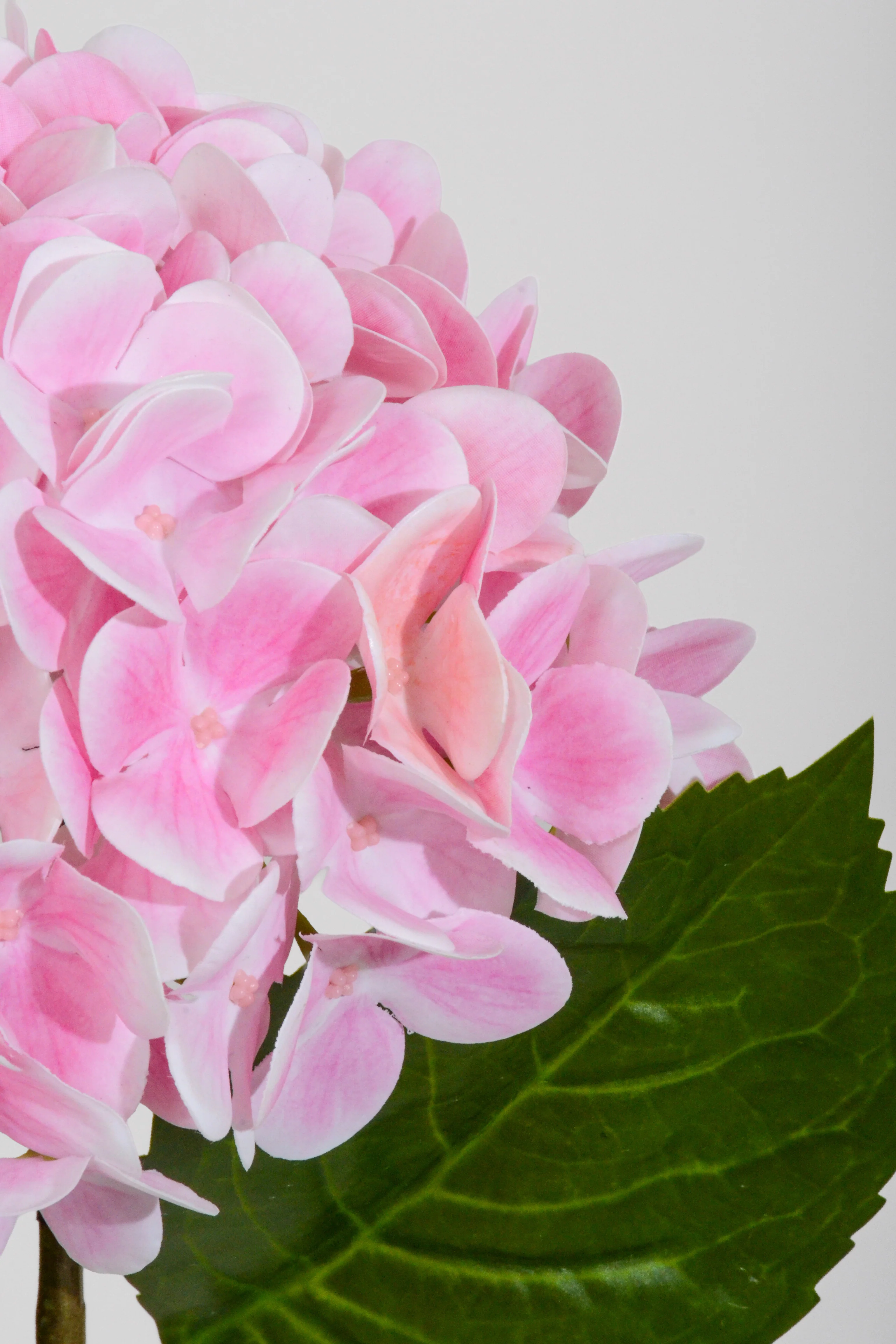 18" Real Touch Hydrangea Pink - Image 2