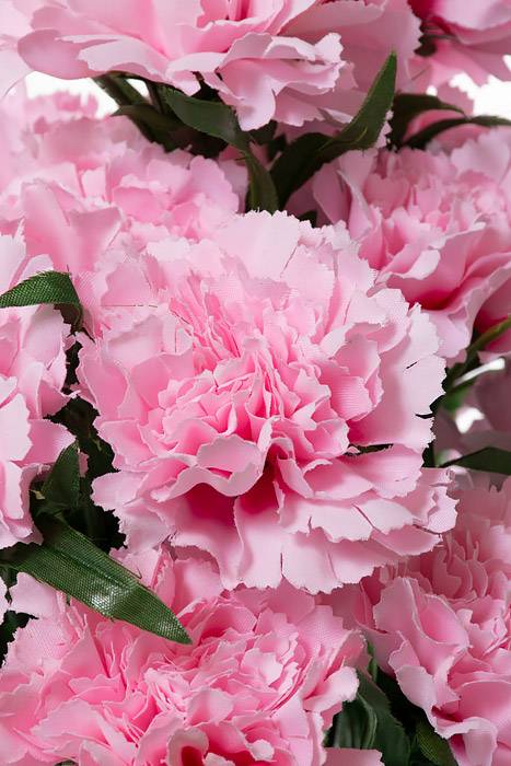18" Silk Carnation Bush Pink - Image 2