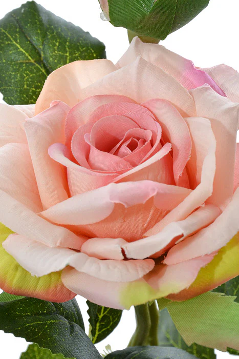 18" Silk Rose Spray Soft Pink - Image 2