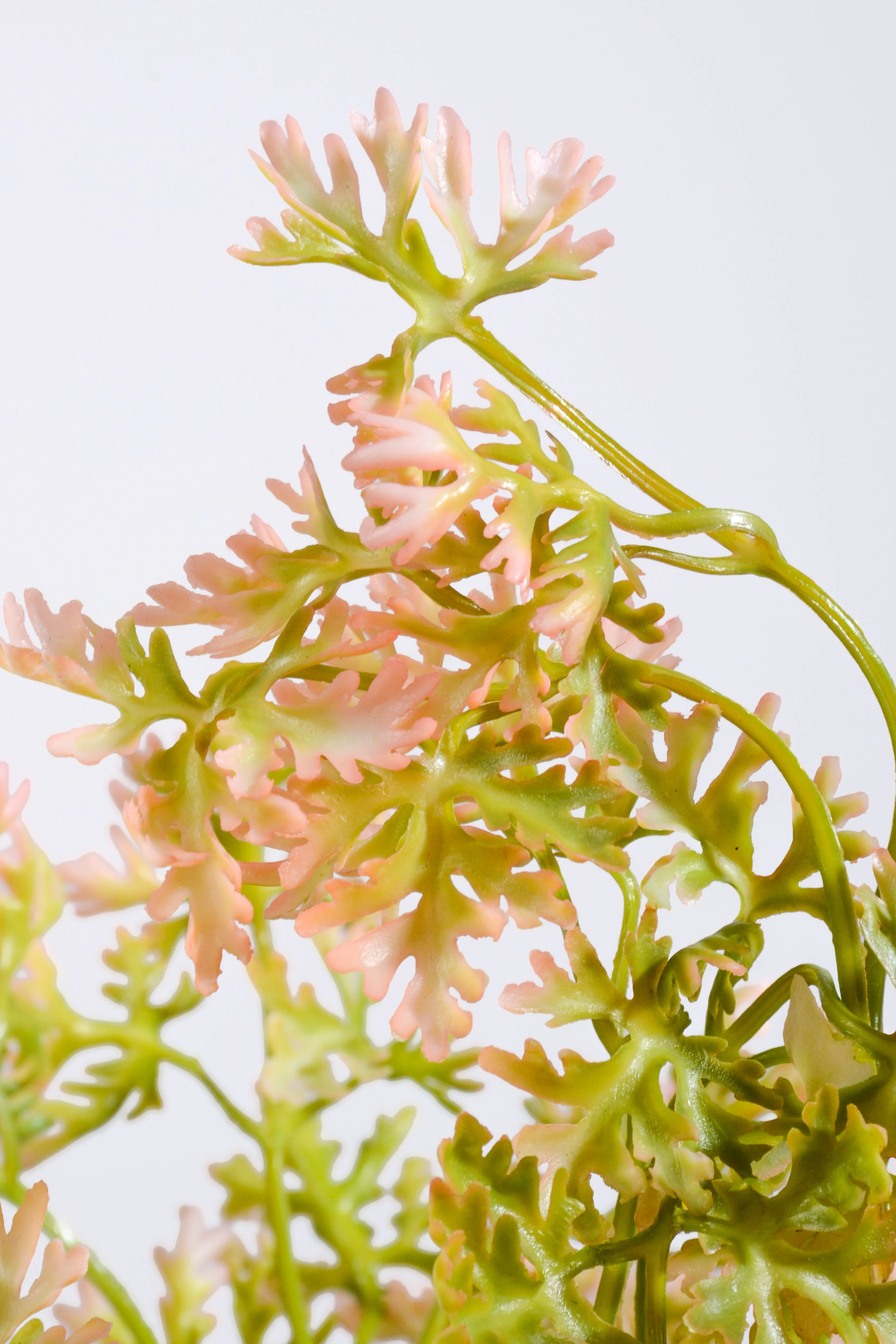 19.5" Artificial French Parsley Bush Green/Pink - Image 2