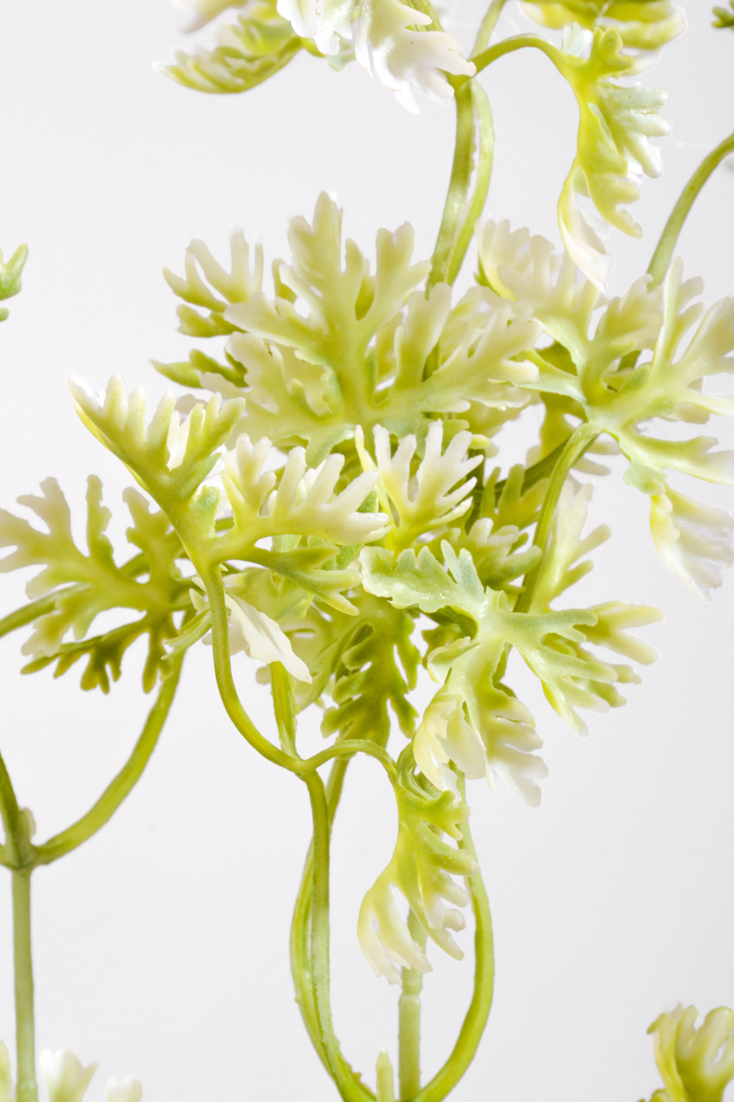 19.5" Artificial French Parsley Bush Green/White - Image 2