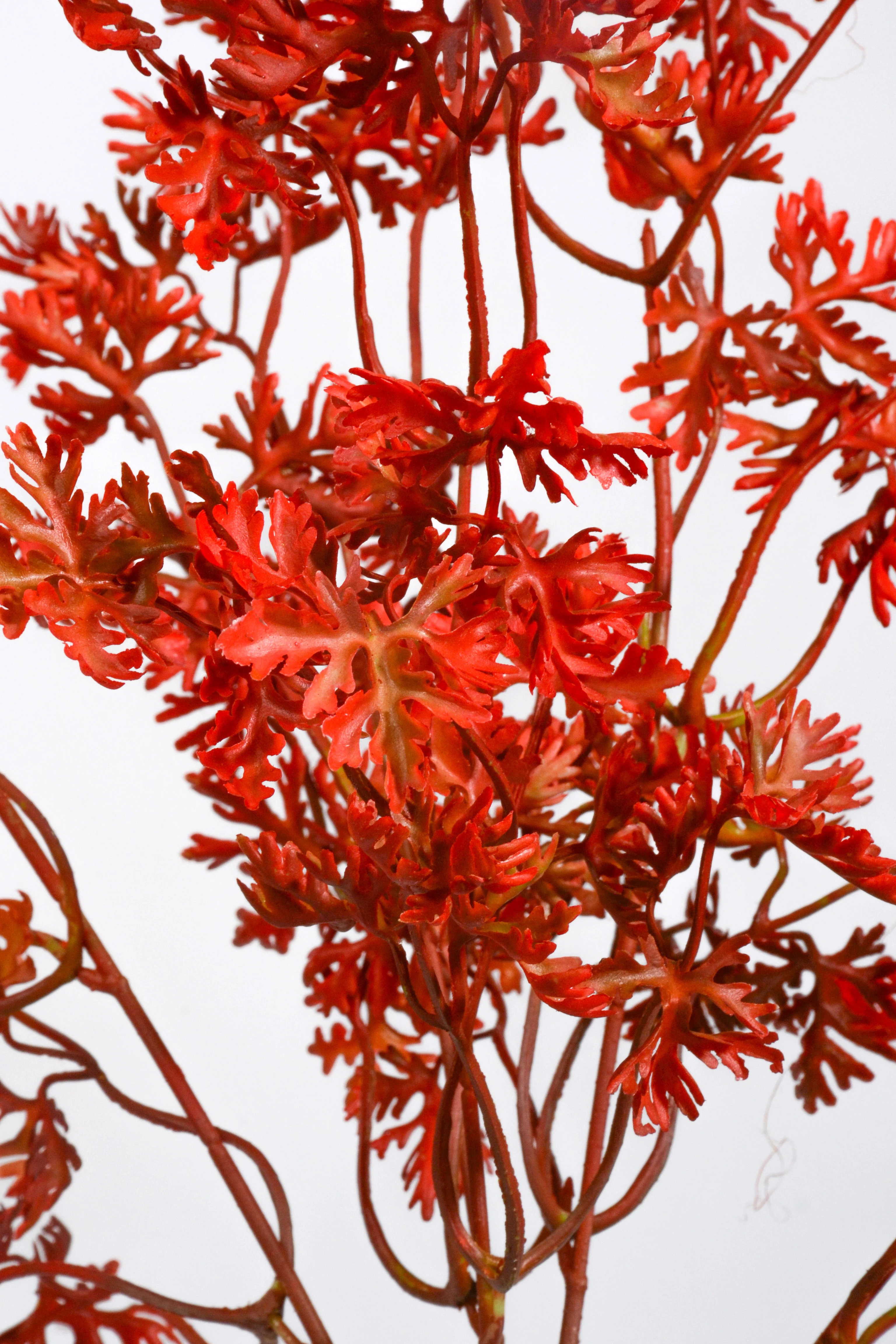 19.5" Artificial French Parsley Bush Red - Image 2