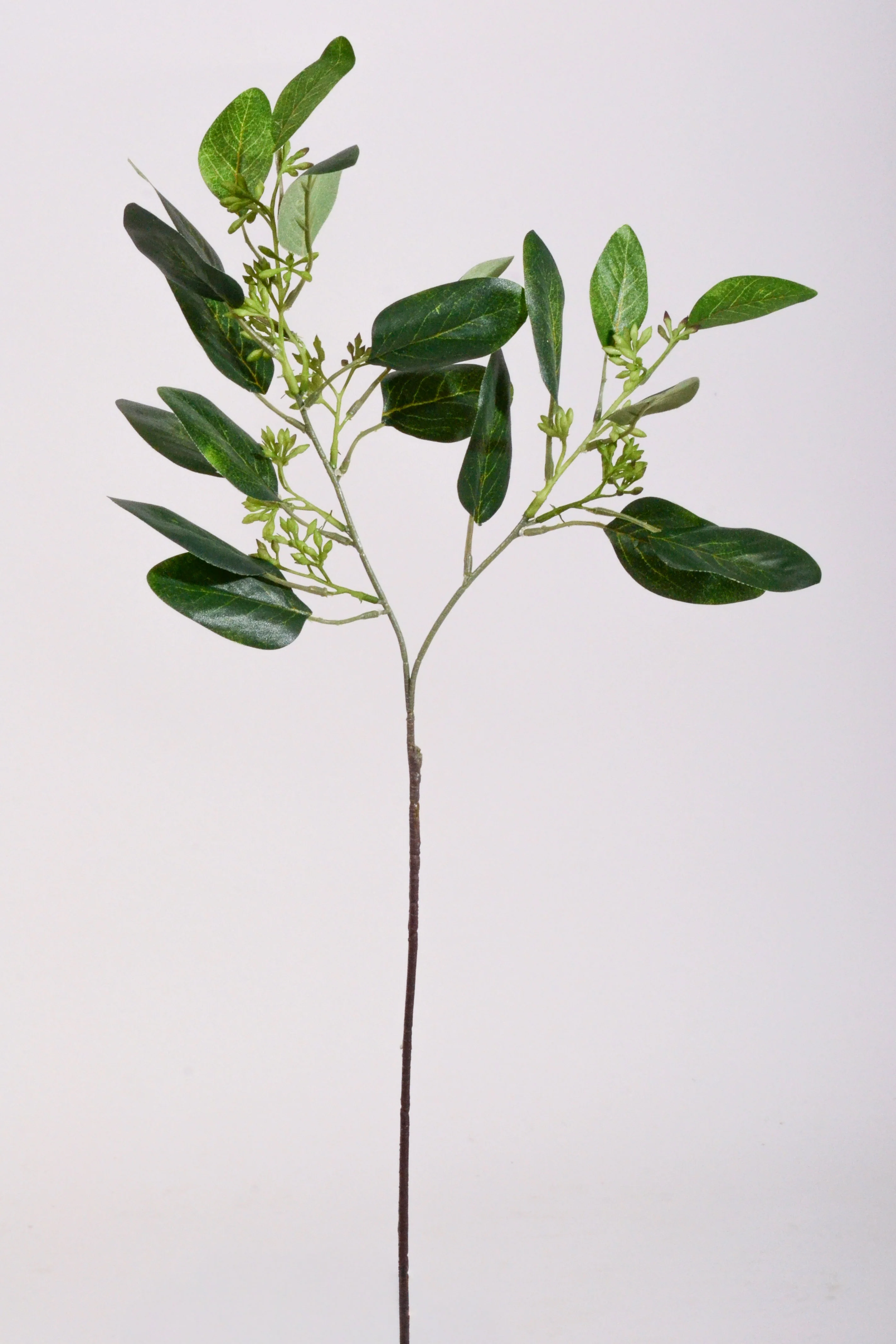 19.5" Seeded Eucalyptus Spray Green