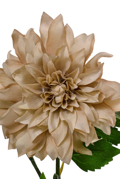 19.5" Silk Dahlia Spray Beige - Image 2