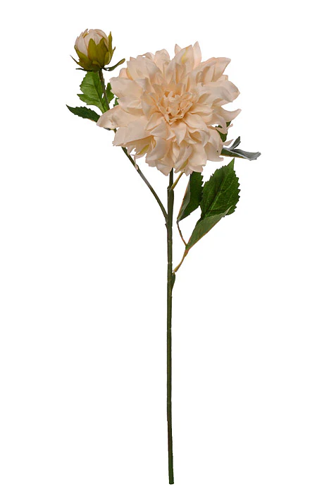 19.5" Silk Dahlia Spray Ivory