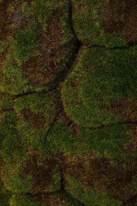 19.5 x19.5" Faux Moss Matt Green/Brown - Image 2